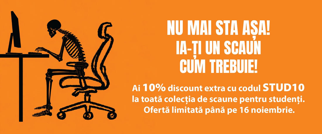 Scaun de birou cu suport lombar și cervical: ce trebuie să știi înainte să cumperi