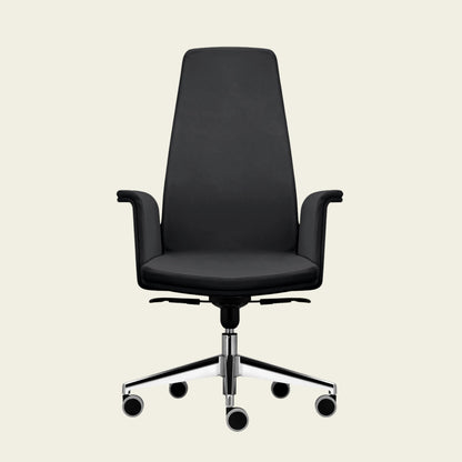 Scaun directorial Sili