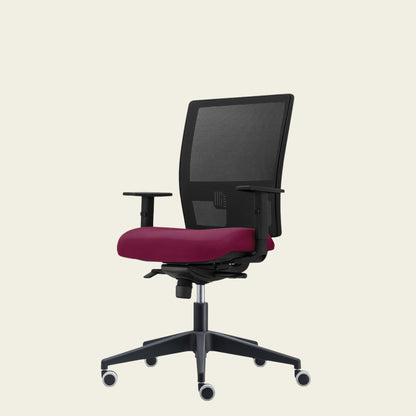 Scaun de birou Smart Eco
