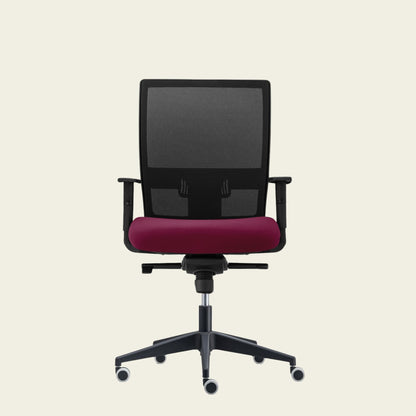 Scaun de birou Smart Eco