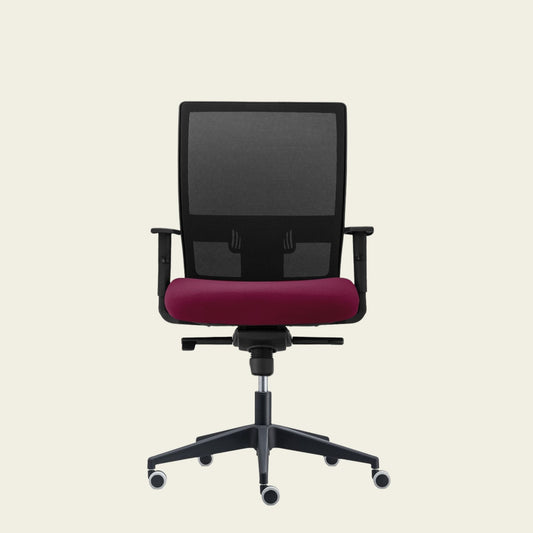 Scaun de birou Smart Eco