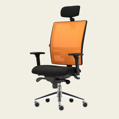 Scaun de birou Smart Pro