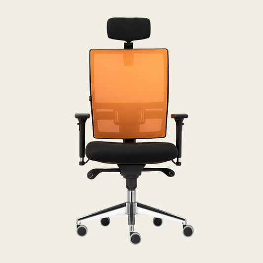 Scaun de birou Smart Pro